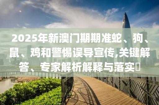 2025年新澳門期期準(zhǔn)蛇、狗、鼠、雞和警惕誤導(dǎo)宣傳,關(guān)鍵解答、專家解析解釋與落實(shí)?